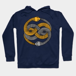 The Auryn Medallion Hoodie